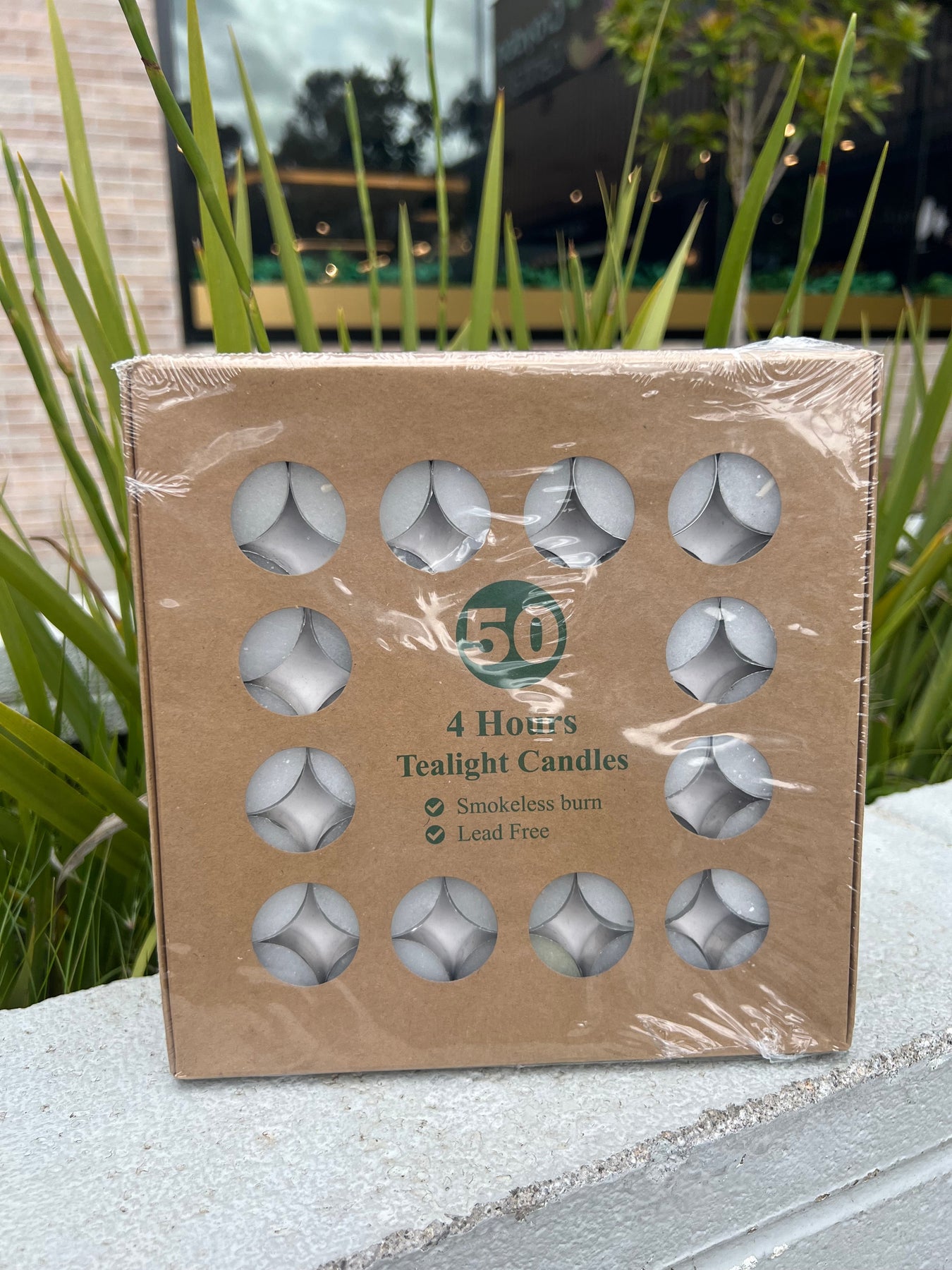 Reed diffusers for home fragrances in Melbourne, Australia |Casaliving