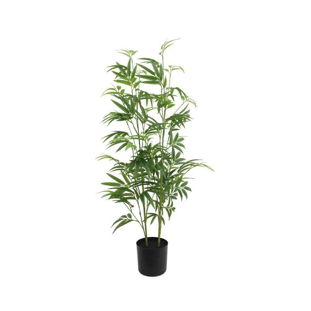 Plants & Pots - For Outdoor & Indoor | Shop now at Casaliving