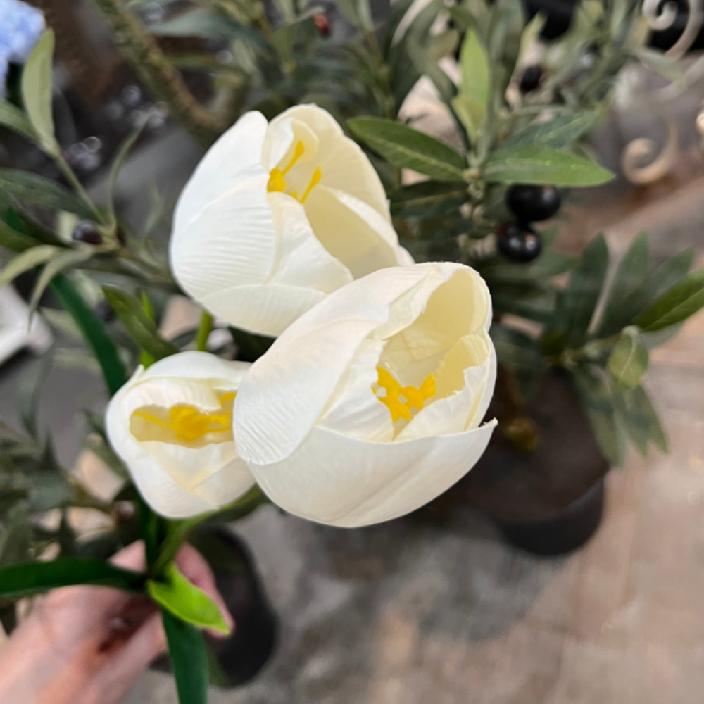Artificial flowers in Melbourne, Australia |Shop now at Casaliving