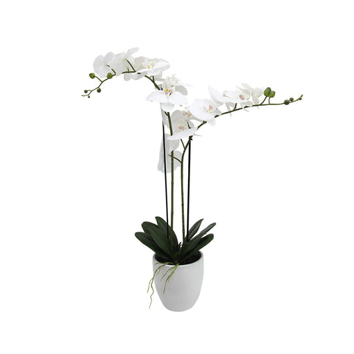 14 Butterfly Orchid White Ceramic- Artificial Flowers by Casaliving&nbsp;