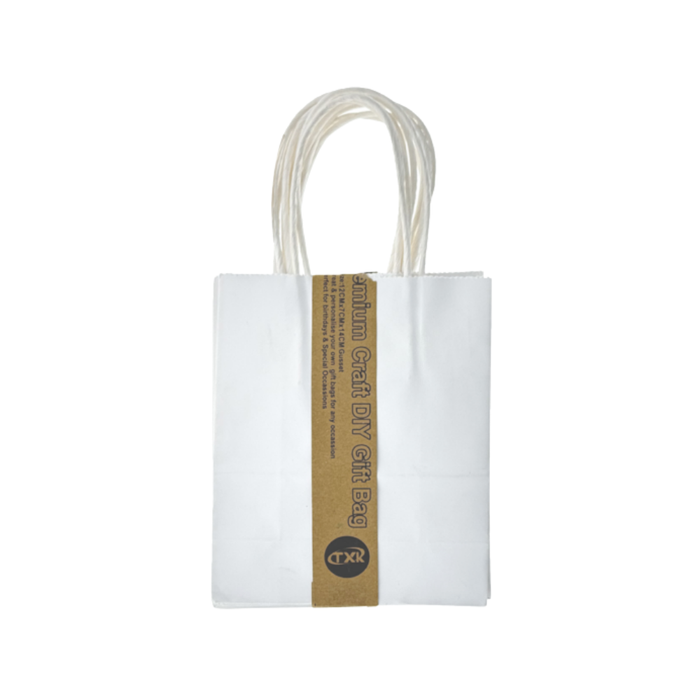 White Craft Paper Bags (12 × 7 × 14 cm) 5pcs
