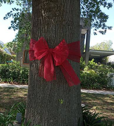 Red mesh ribbon roll 6 metres for Christmas tree decoration

Big red bow ribbon