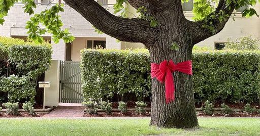Large red bow made from mesh ribbon for outdoor community tree