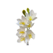 Artificial White Cymbidium Orchids - Artificial Flowers by Casaliving&nbsp;