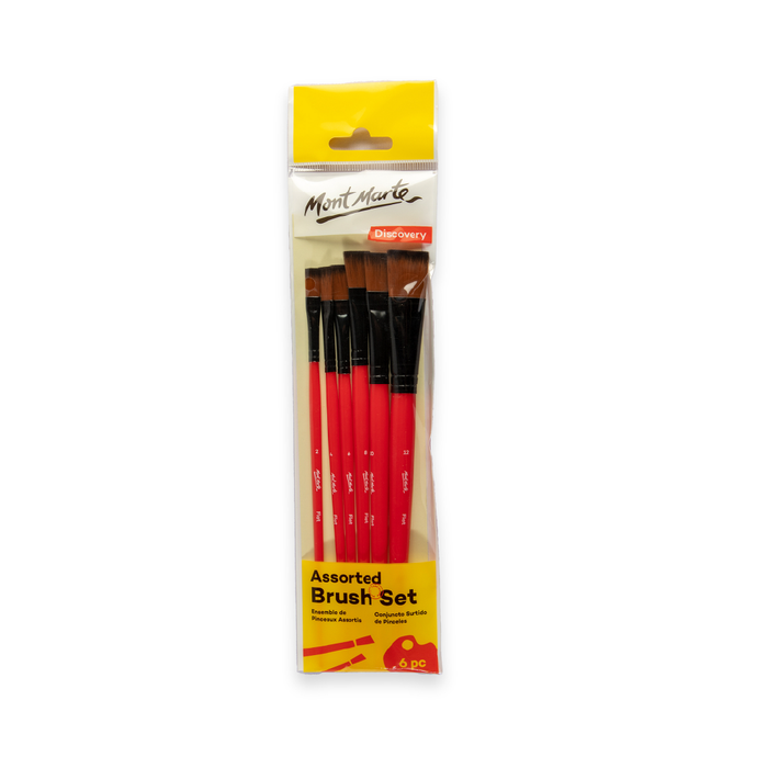 Discovery Assorted Brush 6pc Set