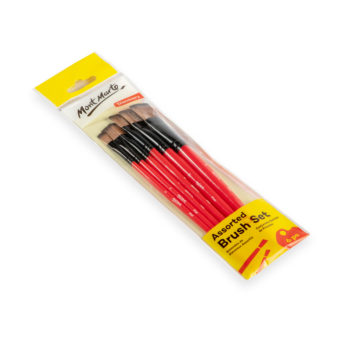 Discovery Assorted Brush 6pc Set