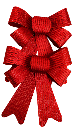 Bow Satin Look 14x21cm | Christmas Decorations, Gifts, and Accessories by Casaliving