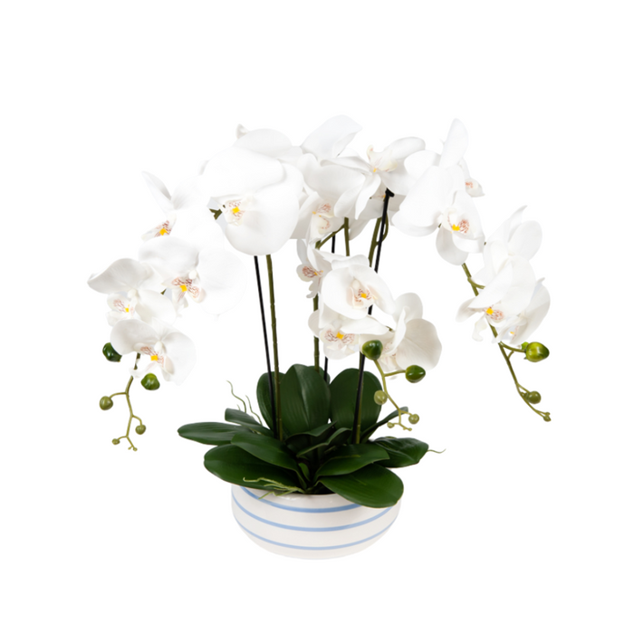 Butterfly Orchid in Hamptons Ceramic Pot - Artificial Flowers by Casaliving&nbsp;