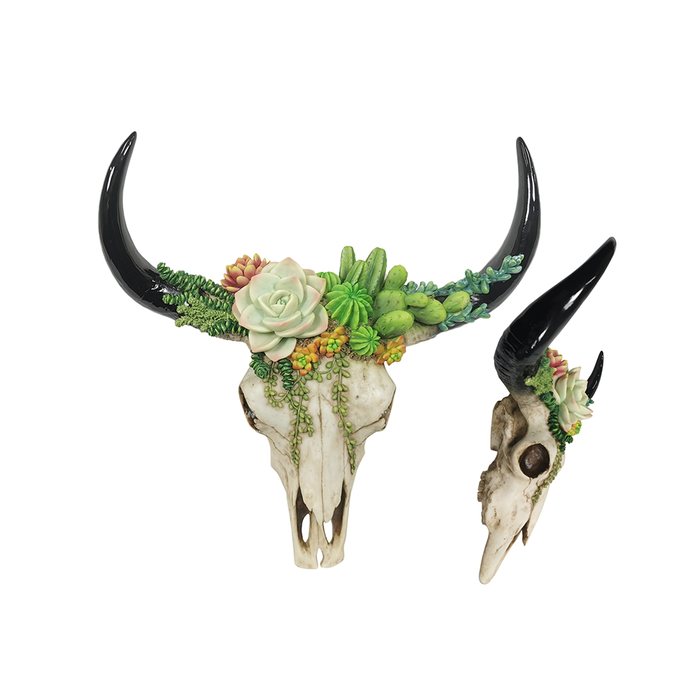 Succulent Design Cow Skull Wall Hanger| Living room decorations by Casaliving