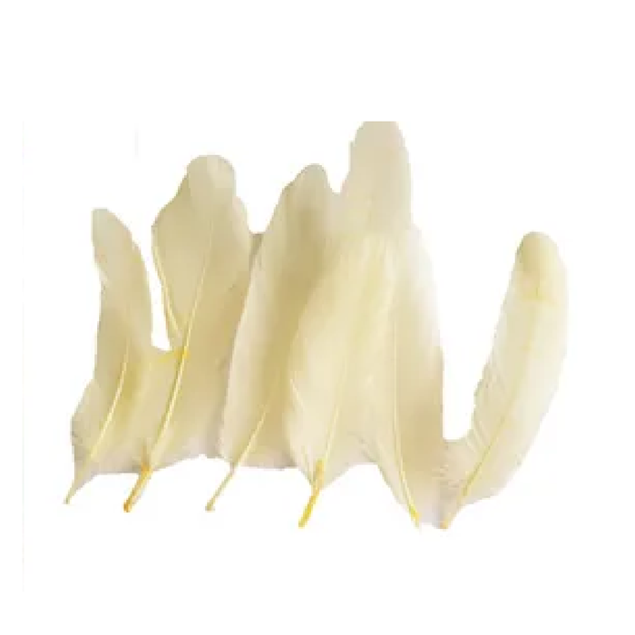 Craft 14cm Cream Feathers/50 [288/12]