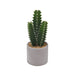 Cactus Cement Pot - Artificial pots and plants&nbsp; by Casaliving&nbsp;