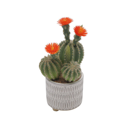 Cactus Ceramic Pot - Artificial pots and plants&nbsp; by Casaliving&nbsp;