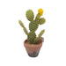 Cactus Clay Pot - Artificial pots and plants&nbsp; by Casaliving&nbsp;