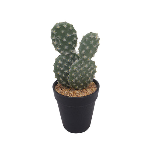 Cactus Plastic Pot - Artificial pots and plants&nbsp; by Casaliving&nbsp;