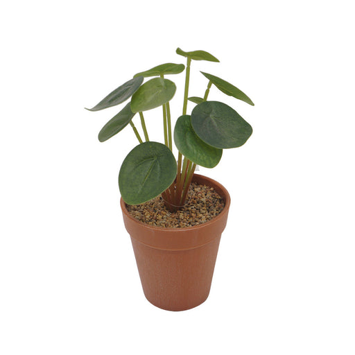 Chinese Money Plant Plastic Pot - Artificial pots and plants&nbsp; by Casaliving&nbsp;