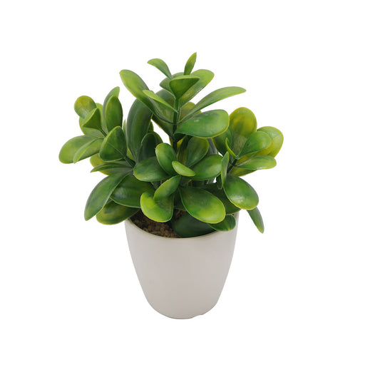 Common Boxwood Melamine Pot - Artificial pots and plants&nbsp; by Casaliving&nbsp;