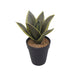 - Artificial pots and plants&nbsp; by Casaliving&nbsp;