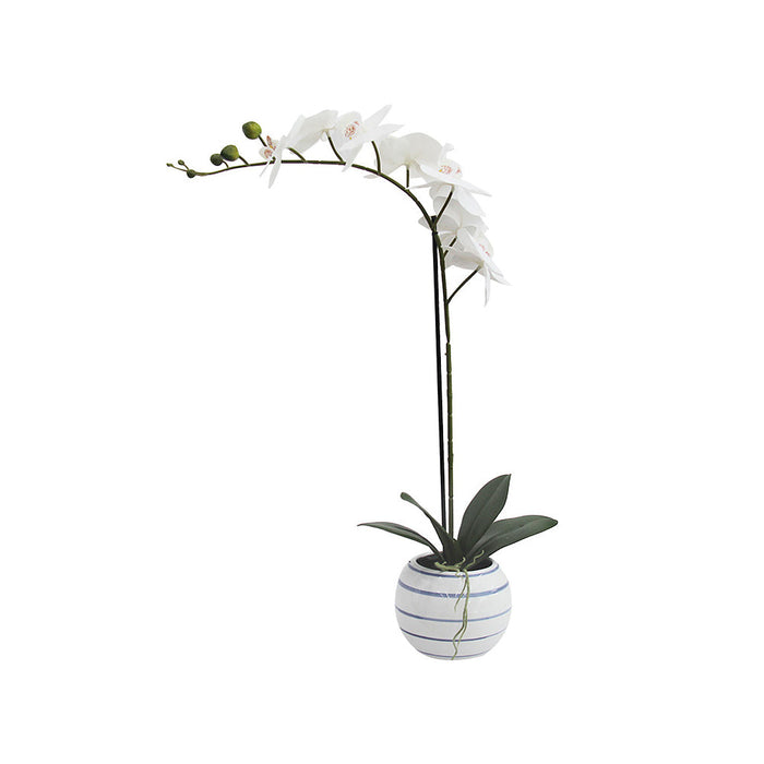 7 Butterfly Orchid Hamptons Ceramic - Artificial Flowers by Casaliving&nbsp;