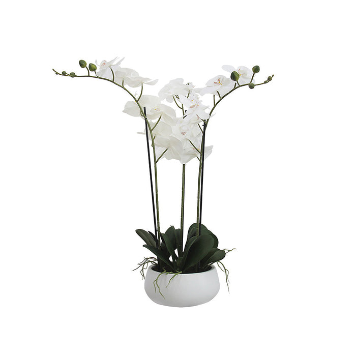 21 Butterfly Orchid White Ceramic - Artificial Flowers by Casaliving&nbsp;