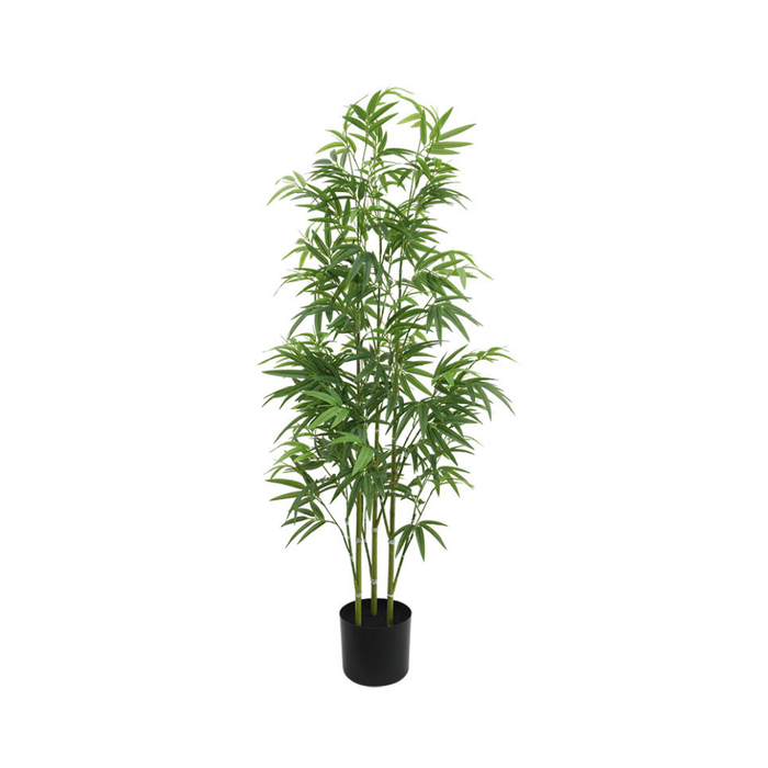 120CM Bamboo Plant