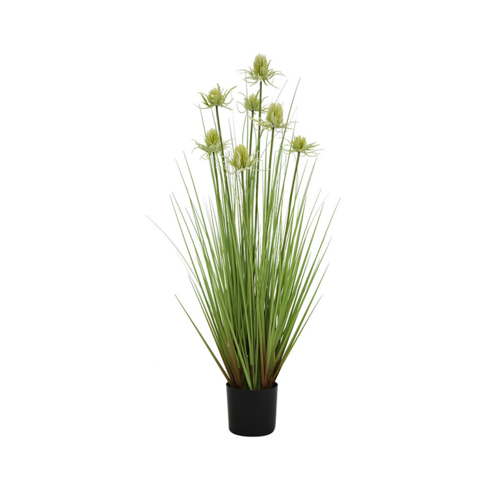 36 Thistle Grass Plastic Pot