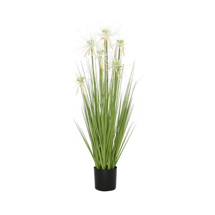 36 Sunny Grass Plastic Pot