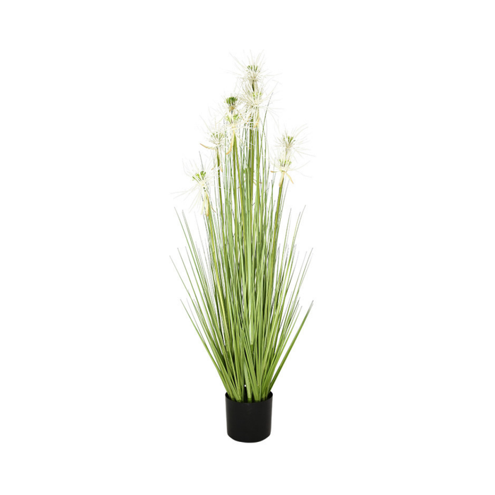 48 Sunny Grass Plastic Pot