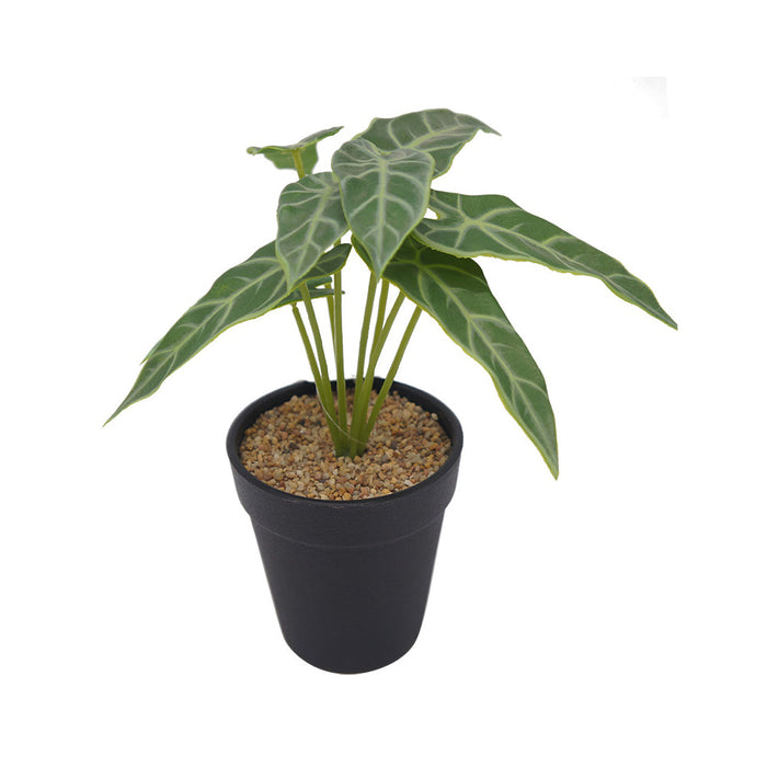 Elephant's Ear Plant Plastic Pot - Artificial pots and plants&nbsp; by Casaliving&nbsp;