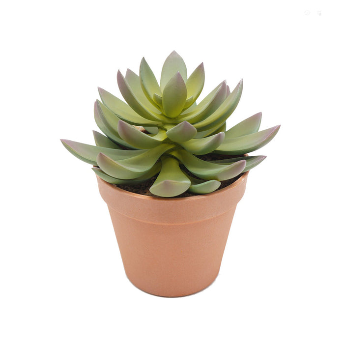 Green Lotus Plastic Pot - Artificial pots and plants&nbsp; by Casaliving&nbsp;