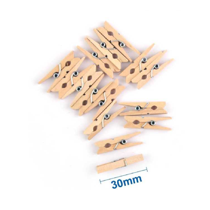 Pegs Wooden 3015pcs
