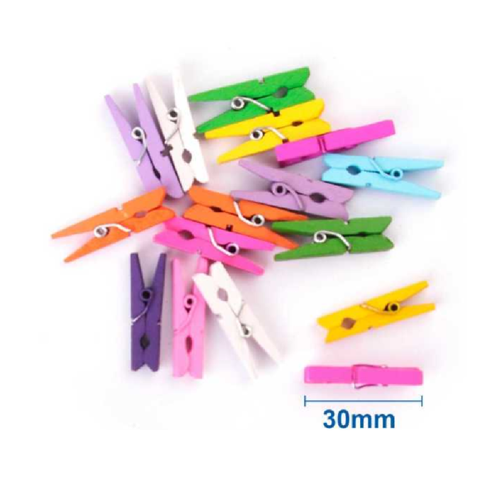Pegs Wooden Assorted 3015pcs