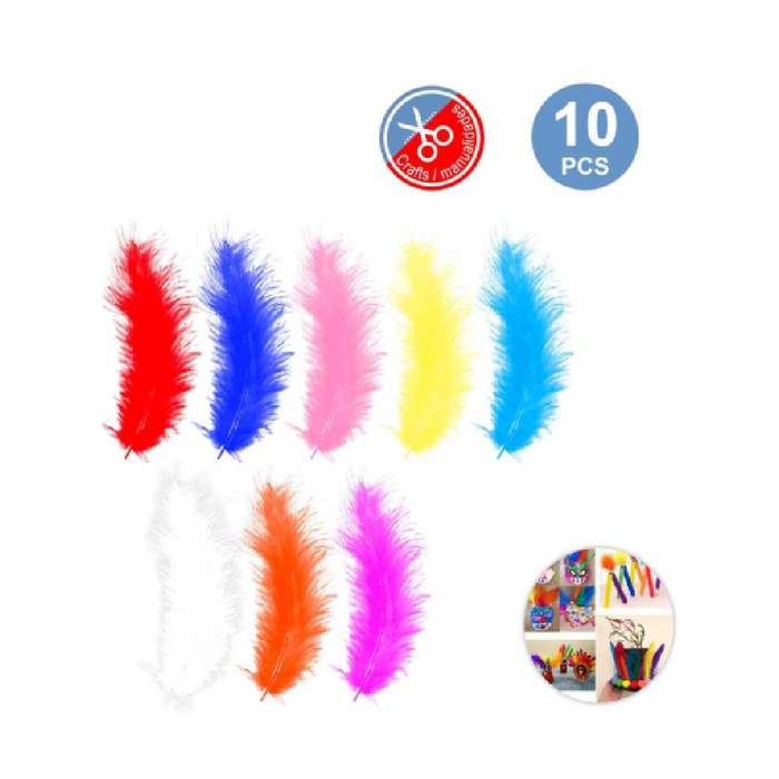 Decorative Feathers Assorted Colors 10pcs