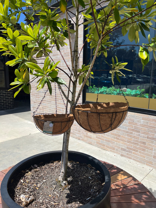 Metal hanging baskets /w Liner planter pot