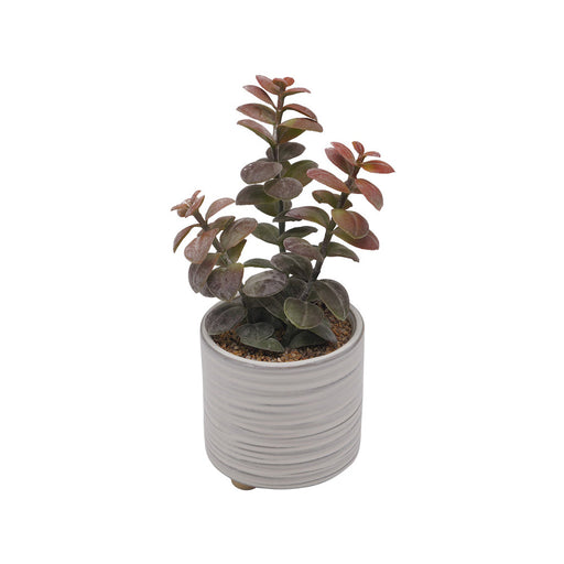 Natal Plum Ceramic Pot - Artificial pots and plants&nbsp; by Casaliving&nbsp;