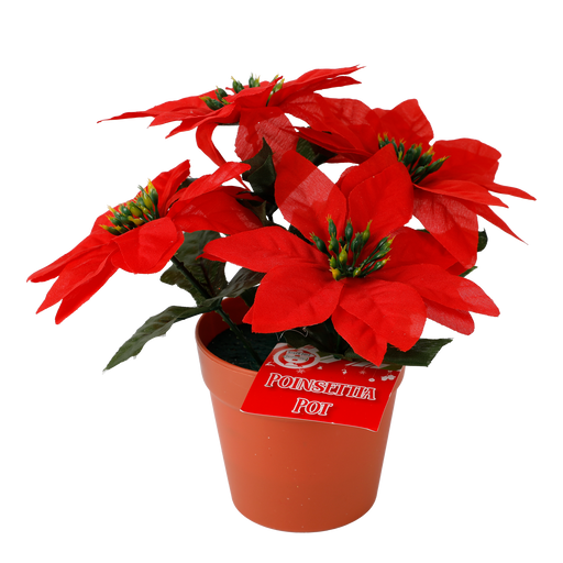 Poinsettia Pot 4 Head 23cm | Christmas Decorations, Gifts, and Accessories by Casaliving