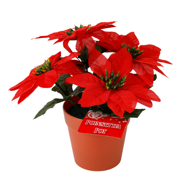 Poinsettia Pot 4 Head 23cm | Christmas Decorations, Gifts, and Accessories by Casaliving