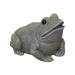 Gray frog statue on a white background