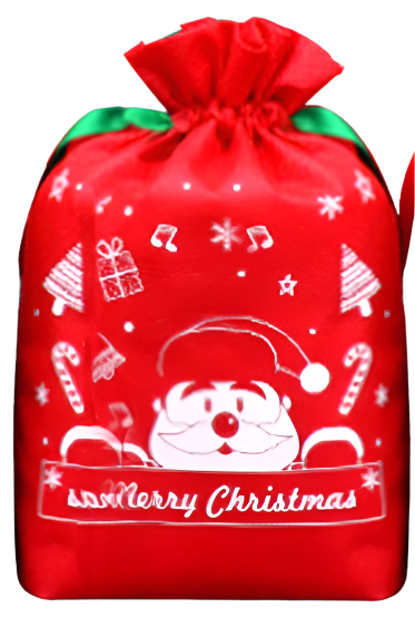 Santa Sack Printed 90x58cm | Christmas Decorations, Gifts, and Accessories by Casaliving