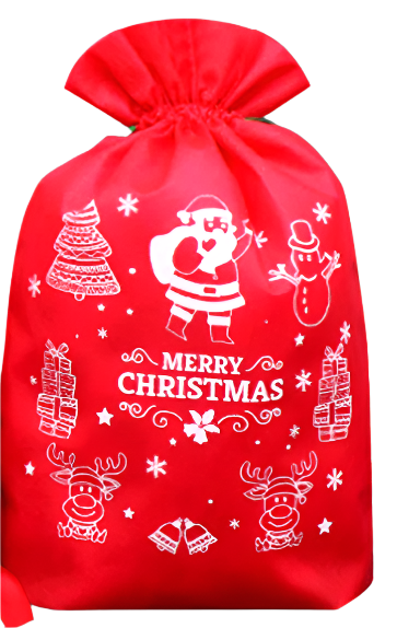 Santa Sack Printed 90x58cm | Christmas Decorations, Gifts, and Accessories by Casaliving