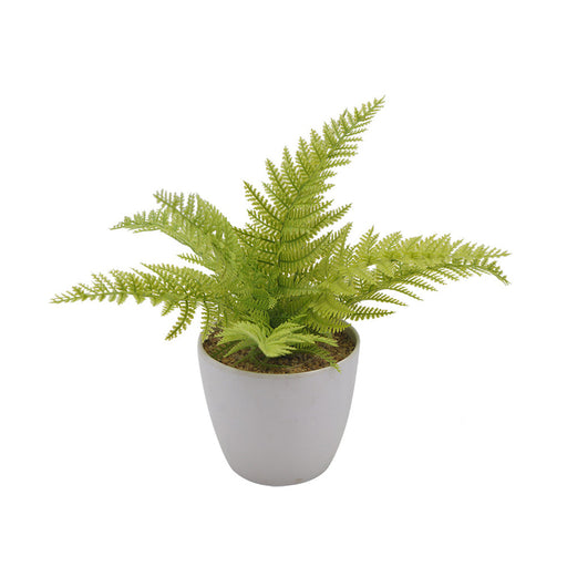 Silver Fern Melamine Pot - Artificial pots and plants&nbsp; by Casaliving&nbsp;