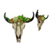 Succulent Design Cow Skull Wall Hanger | Living room decorations by Casaliving