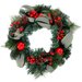 Wreath Apple Euc 45cm | Christmas Decorations, Gifts, and Accessories by Casaliving